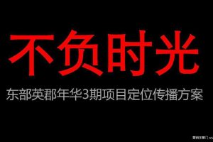 东部英郡年华假日广场项目定位传播方案（PPT）
