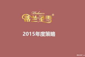 蒂兰圣雪2015年品牌策略方案（PPT）