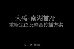 大禹·南湖首府重新定位及整合传播方案（PDF）