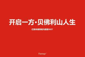 大连一方小窑湾项目2014传播策略沟通方案-红鹤沟通（PPT）