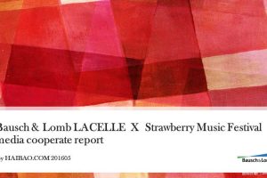 博士伦x2016草莓音乐节媒体合作结案报告（PPT）