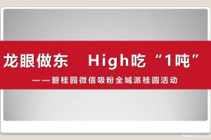 碧桂园全城派桂圆事件营销活动（PPT）