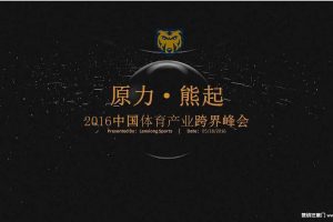 2016中国体育产业跨界峰会整体方案（PDF）