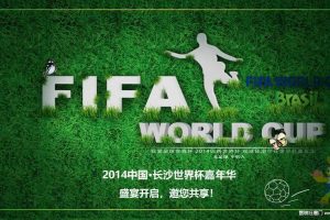 2014长沙世界杯嘉年华活动策划方案（PPT）