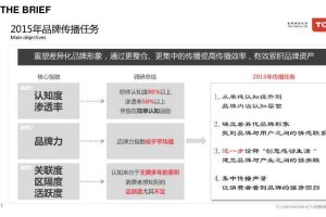 TCL2015年度数字营销传播规划方案（PDF）