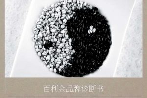 百利金品牌创意传播策略方案（PDF）