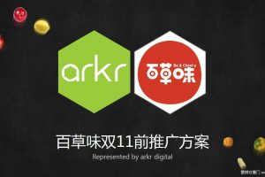 百草味×杨洋演吃会双11前推广方案（PDF）