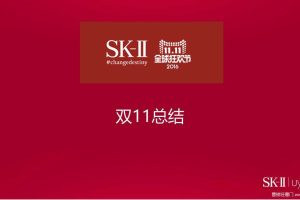 SK-II2016双十一总结报告（PPT）