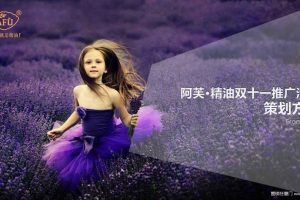 阿芙精油双十一推广活动策划方案（PPT）