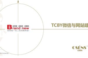 TCBY冰激凌品牌微信运营与网站建设策划方案（PDF）