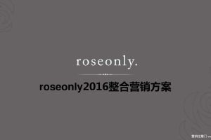 Roseonly2016整合营销传播方案（PPT）