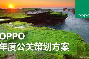 OPPO2013年度公关传播方案（PPT）