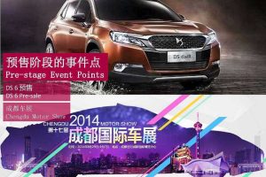 DS汽车2014互联网媒介传播方案（PDF）