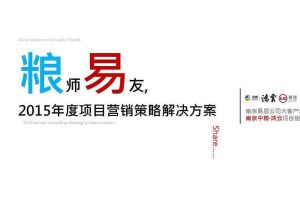 中粮鸿云项目2015年度营销策略解决方案（PDF）