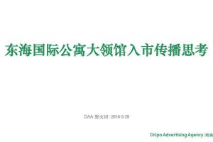 超级豪宅-东海国际公寓大领馆入市传播方案（PDF）