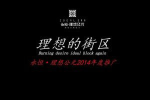 永恒·理想公元2014年推广全案（PDF）