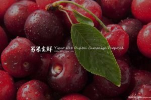 易果生鲜2015-618 数字化传播提案（PDF）