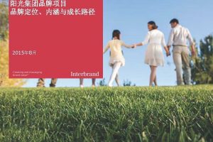 阳光保险品牌品牌定位、内涵及发展路径策划案（PDF）