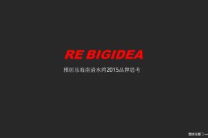 雅居乐清水湾2015品牌营销思考方案（PDF）