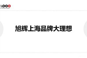 旭辉上海2015品牌大理想梳理方案（PDF）