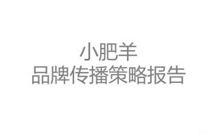 小肥羊火锅2016品牌传播策略方案（PDF）