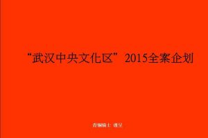 万达武汉中央文化区2015全案企划方案（PPT）
