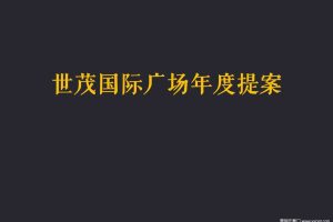 世茂国际广场宽厚里商业年度提案（PPT）