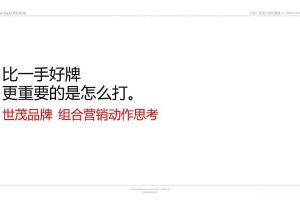 世茂2015品牌形象整合策略方案（PDF）