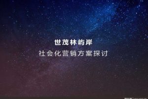 世茂林屿岸2015社会化营销方案（PDF）