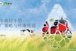 蒙牛焕轻牛奶2016传播策略与规划方案（PDF）