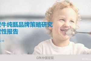 蒙牛纯甄品牌策略调研报告（PPT）