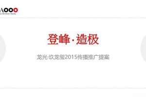 龙光·玖龙玺2015传播推广提案（PDF）