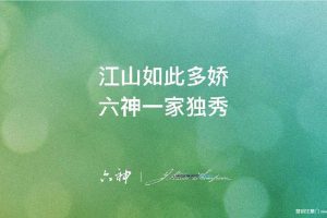 六神洗发水2016年度比稿提案（PDF）