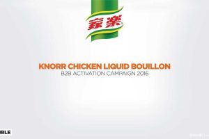 联合利华家乐品牌2016 toB市场传播方案（PDF）