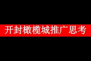 开封郑开橄榄城商业中心推广思考方案（PDF）