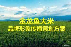 金龙鱼大米2016品牌传播策划方案（PPT）