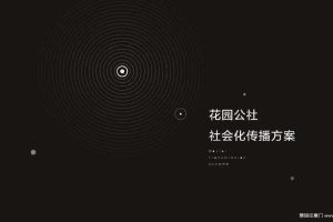 建业花园公社2016社会化营销提报（PDF）