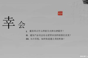建发合肥项目2016整合营销提报（PDF）