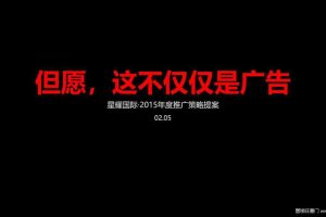 惠州星耀国际2015年度推广策略提案（PPT）