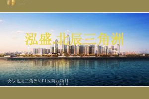 泓盛·北辰三角洲商业项目定位及运营提报（PDF）