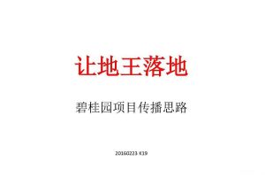 广州地王碧桂园项目2016推广思路方案（PDF）