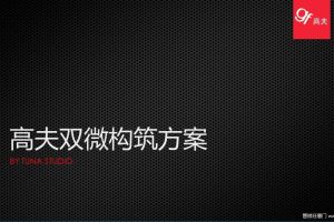 高夫2016双微构筑方案（PPT）