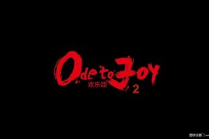 宝马x《欢乐颂2》植入专案（PPT）