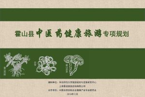 安徽霍山中医药健康旅游专项规划方案（PDF）