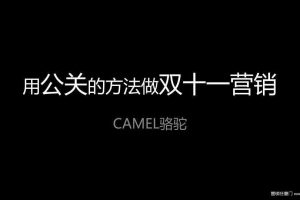 CAMEL骆驼2014用公关的方法做双十一营销方案（PPT）