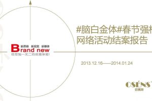 #脑白金体#网络事件营销结案报告（PDF）