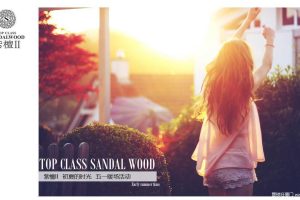 紫檀II期-2017“初夏的时光”五一暖场活动方案（PPT）