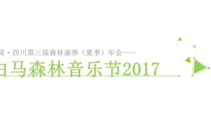 2017白马森林音乐节策划案（PPT）