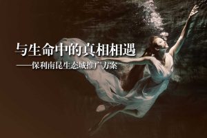 保利南昆生态城传播方案（PDF）