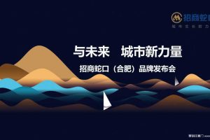 招商蛇口2017合肥品牌发布会策划方案（PPT）